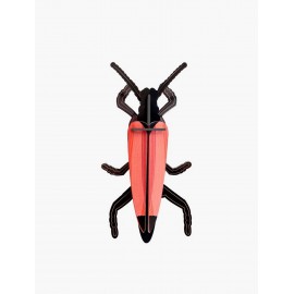 insecte decoration murale longicorne studio roof