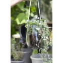 porte plantes pot verre transparent a suspendre corde jute ib laursen