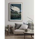 affiche peinture oiseau audubon the dybdahl wood ibis