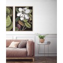 affiche fleur magnolia en fleurs peinture dessin the dybdahl