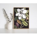 affiche fleur magnolia en fleurs peinture dessin the dybdahl