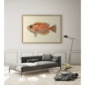 grande affiche poisson orange The Dybdahl Blotched Bigeye