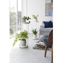 porte plante rond deux etages blanc acier design yamazaki