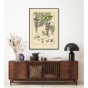 affiche ancienne decorative fleurs glycine dessin the dybdahl