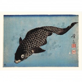 affiche carpe japonaise the dybdahl fish