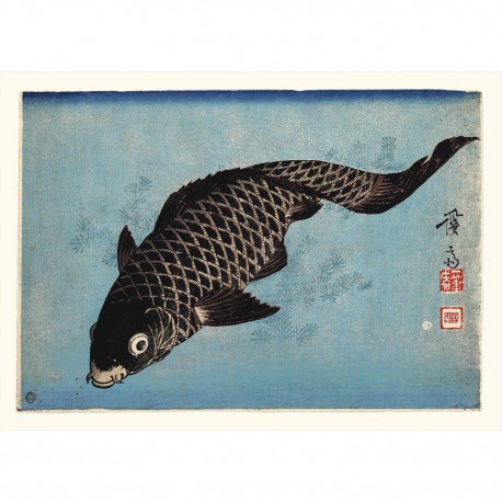 affiche carpe japonaise the dybdahl fish