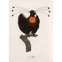 affiche oiseau dessin ancien le pardisier sifilet the dybdahl