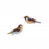oiseaux decoratifs carton moineaux studio roof sparrows