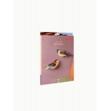 oiseaux decoratifs carton moineaux studio roof sparrows