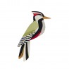 oiseau decoratif carton pivert studio roof woodpecker