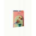 oiseaux colores decoratifs muraux robin studio roof robins set de 2