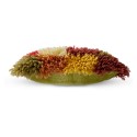 coussin poils longs multicolores laine fluffy hk living