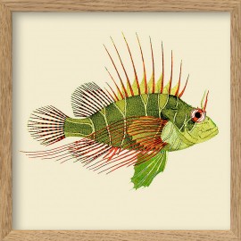 petit cadre affiche poisson vert the dybdahl