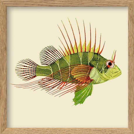 petit cadre affiche poisson vert the dybdahl