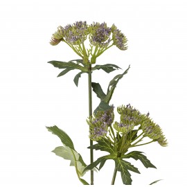 fleur sauvage prairie artificielle bloomingville