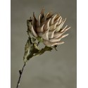 fleur exotique artificielle protea bloomingville