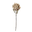 fleur exotique artificielle protea bloomingville