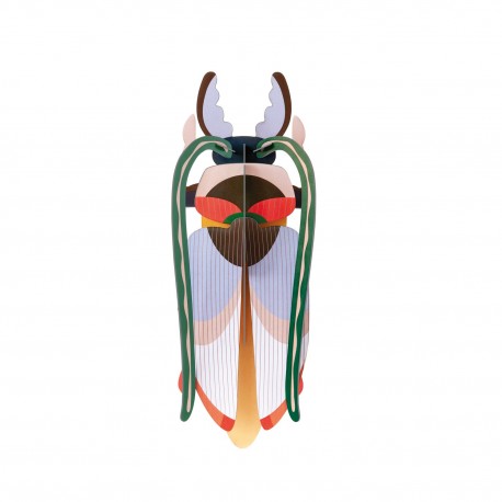 Décoration murale carton scarabée cosmos Studio Roof
