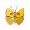 papillon jaune decoration murale studio roof