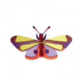 studio roof papillon oeil de paon decoratif mural