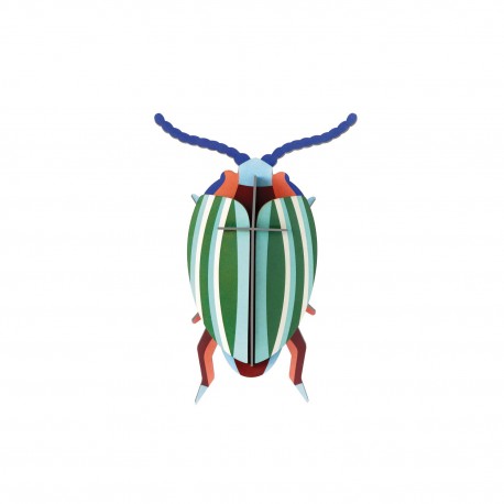 petit scarabee carton deco chrysolina studio roof rainbow leef beetle