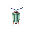 petit scarabee carton deco chrysolina studio roof rainbow leef beetle