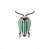 petit scarabee carton deco chrysolina studio roof rainbow leef beetle