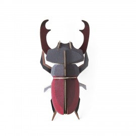 studio roof coleoptere scarabee decoration murale