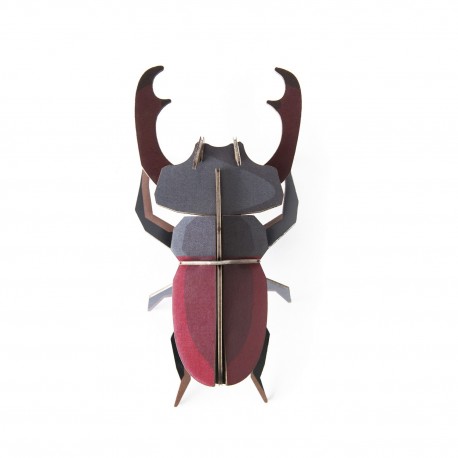 studio roof coleoptere scarabee decoration murale