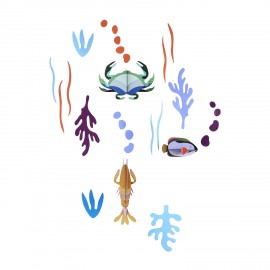 animaux marins coffret studio roof ocean s tale