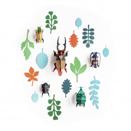 Mur de curiosités insectes carton Studio Roof Antiquaire de Scarabées
