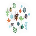 Mur de curiosités insectes carton Studio Roof Antiquaire de Scarabées