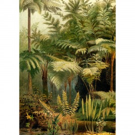 poster fougeres jungle vintage the dybdahl ferns left side