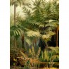 poster fougeres jungle vintage the dybdahl ferns left side