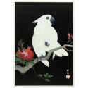 Affiche japonaise Ukiyo-E The Dybdahl Cockatoo Pomegranate