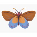 papillon studio roof ochre costa butterfly