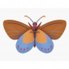 Papillon mural carton Studio Roof Ochre Costa Butterfly