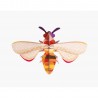 studioroof abeille insecte carton decorationmurale