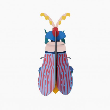 insecte decoratif coleoptère du printemps studio roof