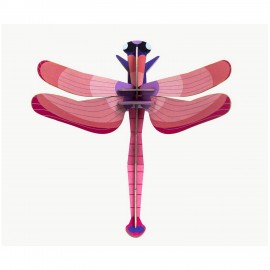 Libellule rubis Studio Roof