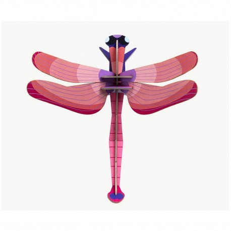 Libellule rubis Studio Roof