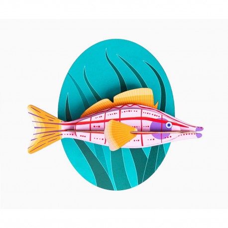 Décoration carton poisson faucon à long nez Studio Roof