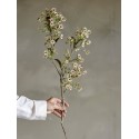 fleur plante vivace artificielle blomingville waxflower
