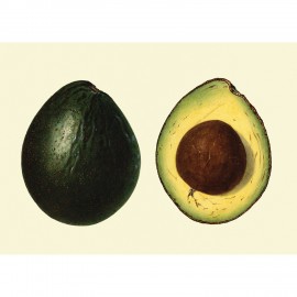Poster avocat The Dybdahl Avocado
