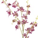 fleur orchidee sauvage rose bloomingville orchid