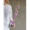 fleur orchidee sauvage rose bloomingville orchid