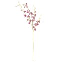 fleur orchidee sauvage rose bloomingville orchid