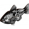 miho poisson decoratif noir et blanc vertigo